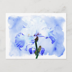 Gespecificeerde iris - blauw en wit briefkaart