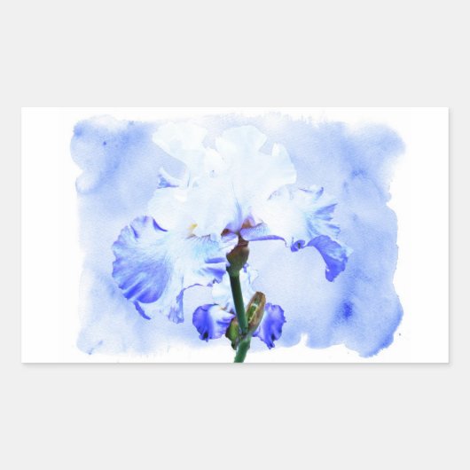 Gespecificeerde iris - blauw en wit rechthoekige sticker (Voorkant)