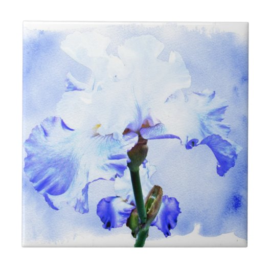 Gespecificeerde iris - blauw en wit tegeltje (Voorkant)