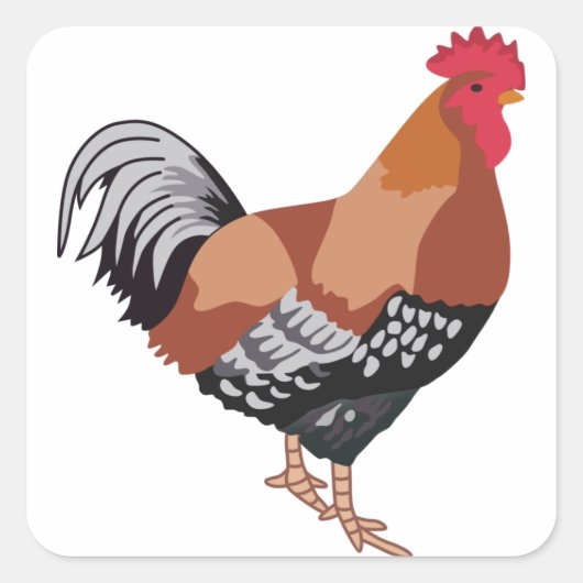 GESPECKELDE SUSSEX VIERKANTE STICKER (Voorkant)