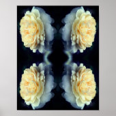 Gespiegelde gele roos in bloei Abstract Poster (Voorkant)