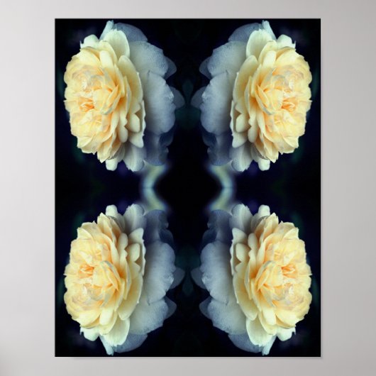 Gespiegelde gele roos in bloei Abstract Poster (Voorkant)