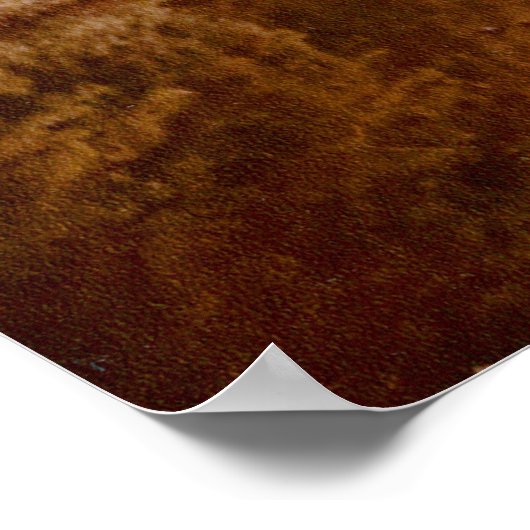 Gespiegelde Lakeview Poster (Hoek)