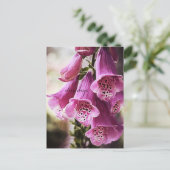 Gespikkeld Briefkaart (Staand voorkant)