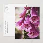 Gespikkeld Briefkaart (Voorkant / Achterkant)