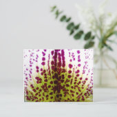 Gespikkeld Briefkaart van phalaenopsis Orchid (Staand voorkant)
