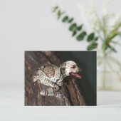 Gespikkeld personeel briefkaart (Staand voorkant)