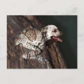 Gespikkeld personeel briefkaart (Voorkant)