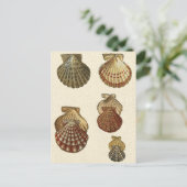 Gespikkelde Antiek schalen Briefkaart (Staand voorkant)