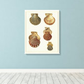 Gespikkelde Antiek schalen Canvas Afdruk (Insitu (Houten vloer))