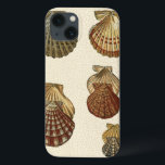 Gespikkelde Antiek schalen iPhone 13 Hoesje<br><div class="desc">Artiest Denis Diderot is getalenteerd en bekend om zijn grote afbeeldingen in het leven van zeeen. In dit levendige afbeelding vangt hij vier gekraakte Conch-seizoenen in hun meest natuurlijke stijl. Conches worden vaak gekraakt zoals deze vier seizoenshellen en in een sepia-achtige toon. Haal vandaag je zeeschol-product en je kunt jezelf...</div>