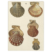 Gespikkelde Antiek schalen Klembord (Achterkant)