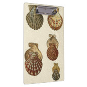 Gespikkelde Antiek schalen Klembord (Rechts)