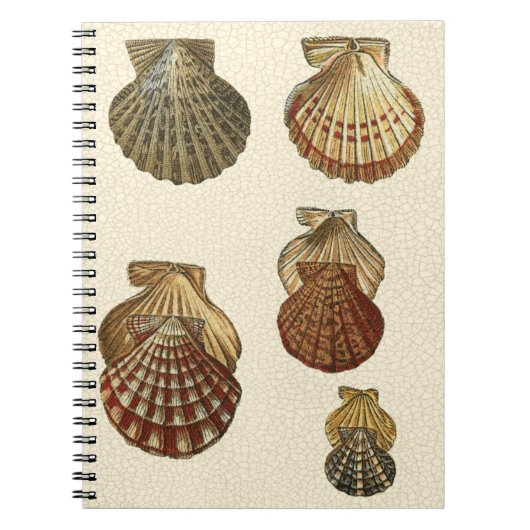 Gespikkelde Antiek schalen Notitieboek (Voorkant)