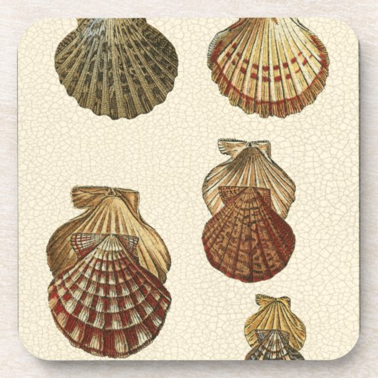 Gespikkelde Antiek schalen Onderzetter (Voorkant)