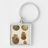 Gespikkelde Antiek schalen Sleutelhanger (Voorkant)