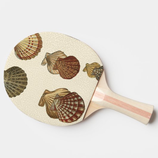 Gespikkelde Antiek schalen Tafeltennisbatje (Zijkant)