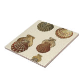 Gespikkelde Antiek schalen Tegeltje (Zijkant)