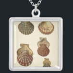 Gespikkelde Antiek schalen Zilver Vergulden Ketting<br><div class="desc">Artiest Denis Diderot is getalenteerd en bekend om zijn grote afbeeldingen in het leven van zeeen. In dit levendige afbeelding vangt hij vier gekraakte Conch-seizoenen in hun meest natuurlijke stijl. Conches worden vaak gekraakt zoals deze vier seizoenshellen en in een sepia-achtige toon. Haal vandaag je zeeschol-product en je kunt jezelf...</div>