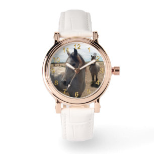 Gespikkelde Arabische paarden, Horloge
