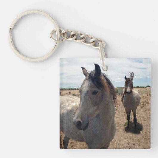 Gespikkelde Arabische paarden, Sleutelhanger (voorkant)