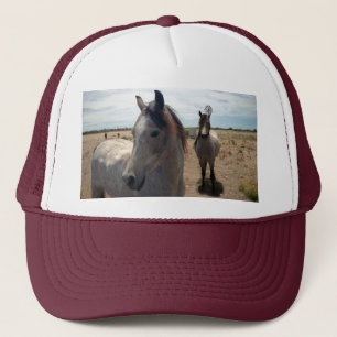 Gespikkelde Arabische paarden, Trucker Pet