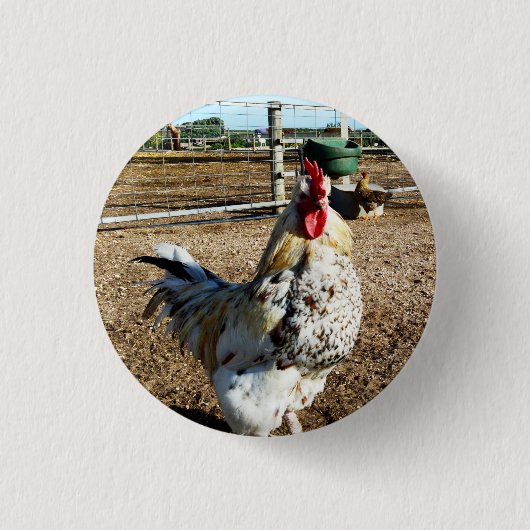 Gespikkelde Boerderij Rooster, badge Ronde Button 3,2 Cm (Voorkant)