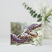 Gespikkelde Briefkaart van Koningsslang (Staand voorkant)