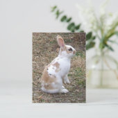 Gespikkelde Bunny Rabbit Briefkaart (Staand voorkant)