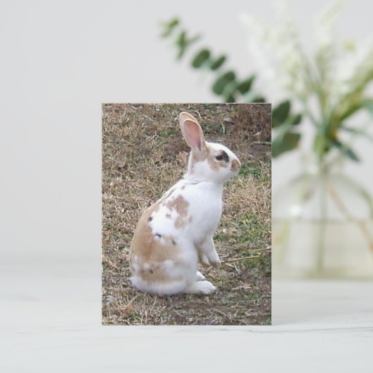 Gespikkelde Bunny Rabbit Briefkaart (Staand voorkant)