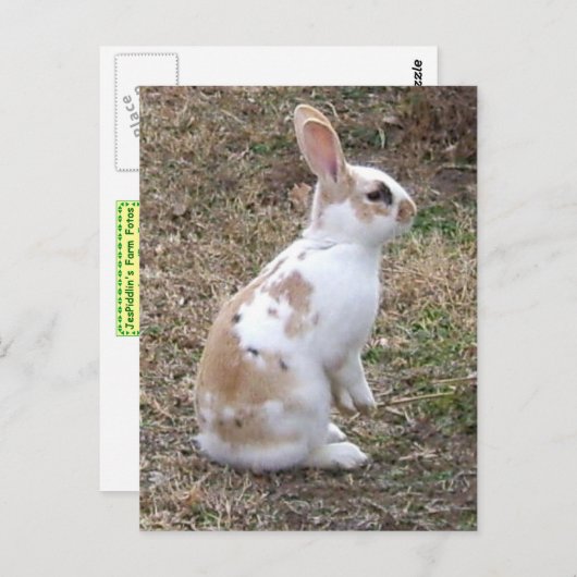 Gespikkelde Bunny Rabbit Briefkaart (Voorkant / Achterkant)