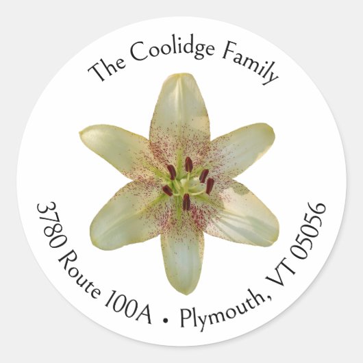 Gespikkelde gele lelie bloem rond adreslabel ronde sticker (Voorkant)