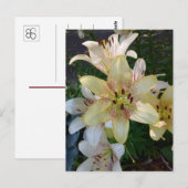 Gespikkelde Gele Lelie Bloemen Briefkaart (Voorkant / Achterkant)