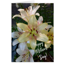 Gespikkelde Gele Lelie Bloemen Moederdag Kaart
