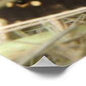 Gespikkelde houten vlinder afdrukken poster (Hoek)