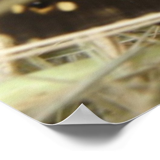 Gespikkelde houten vlinder afdrukken poster (Hoek)