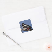 gespikkelde houtspecht vierkante sticker (Envelop)