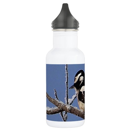  gespikkelde houtspecht waterfles  (Links)