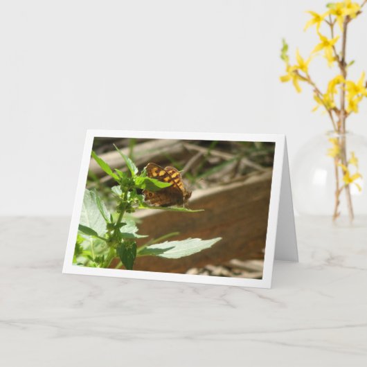 Gespikkelde houtvlinder Maculada, Pararge Aegeria Kaart (Gele Bloem)