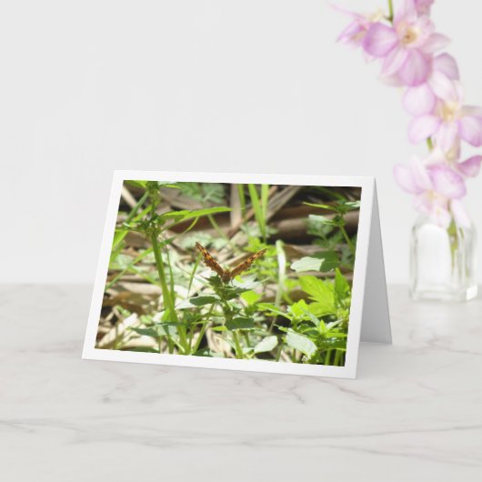 Gespikkelde houtvlinder Maculada, Pararge Aegeria Kaart (Orchidee)