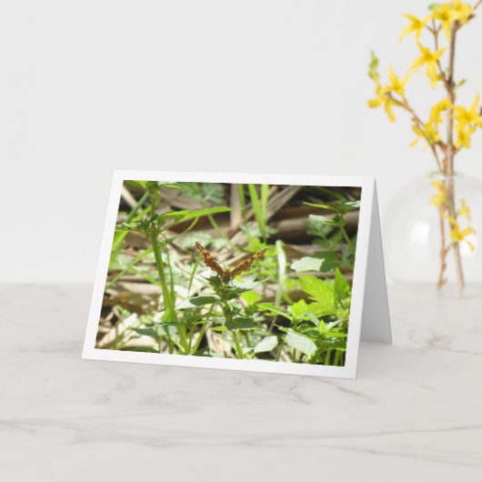 Gespikkelde houtvlinder Maculada, Pararge Aegeria Kaart (Gele Bloem)