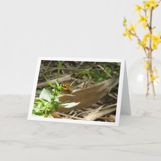 Gespikkelde houtvlinder Maculada, Pararge Aegeria Kaart (Gele Bloem)