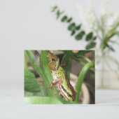 Gespikkelde kikker in het Plant Pepper Briefkaart (Staand voorkant)