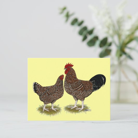 Gespikkelde kippen briefkaart (Staand voorkant)