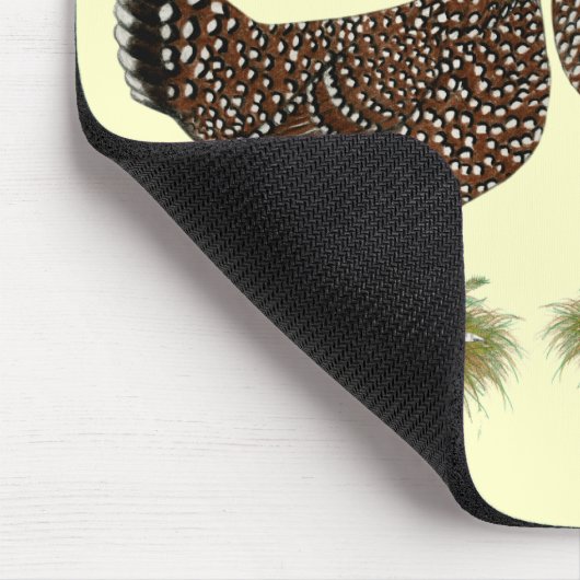 Gespikkelde kippen muismat (Hoek)