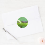 Gespikkelde lef-hopper-producten met scherpschutte ronde sticker (Envelop)