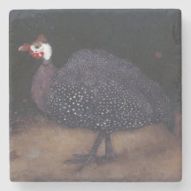 Gespikkelde parelvogel (door Jan Mankes)