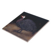 Gespikkelde parelvogel (door Jan Mankes) Tegeltje (Zijkant)