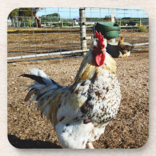 Gespikkelde rooster op Boerderij, Onderzetters
