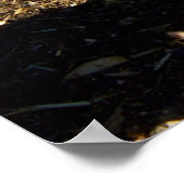 Gespikkelde rooster op Boerderij, Poster (Hoek)